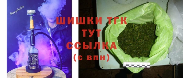 сатива Горняк