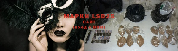 мдпв Горнозаводск