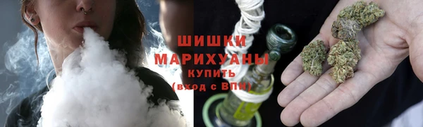 сатива Горняк