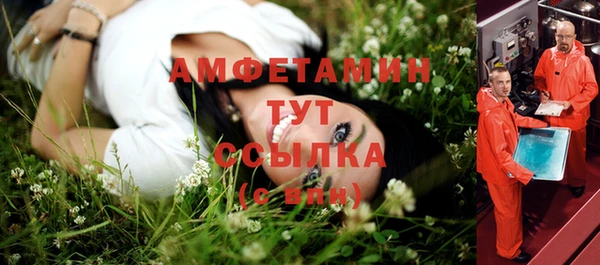 сатива Горняк