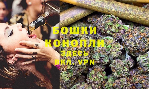 сатива Горняк