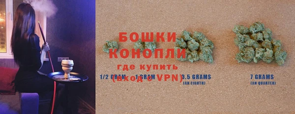мдпв Горнозаводск