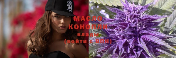 мдпв Горнозаводск