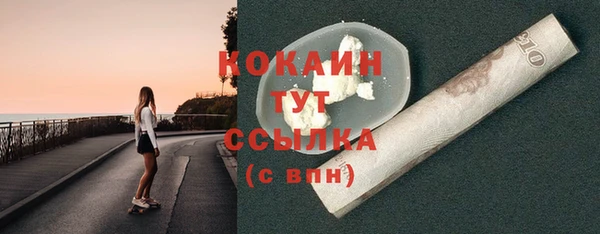мдпв Горнозаводск