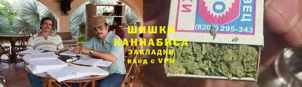 сатива Горняк